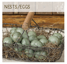 Nests/Eggs